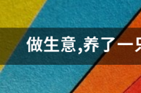 家里为什么不能养黑猫 黑猫养了为什么人会死
