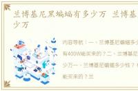 兰博基尼黑蝙蝠有多少万 兰博基尼蝙蝠多少万
