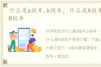 什么是a级车,b级车，什么是A级车,什么是B级车