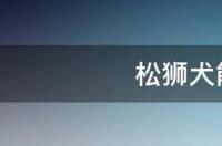 松狮犬一般有多大？ 松狮犬体型多大