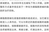 什么是磷甘油？ 甘油磷脂酰胆碱是什么