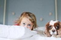 狗狗犬瘟热反复，发烧的时候我要怎么办？ 犬瘟最后是饿死的吗