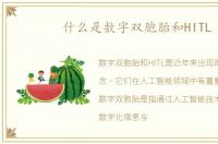 什么是数字双胞胎和HITL