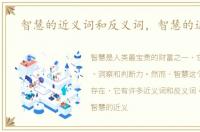 智慧的近义词和反义词，智慧的近义词
