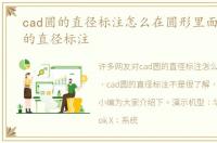 cad圆的直径标注怎么在圆形里面，cad圆的直径标注