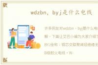 wdzbn，byj是什么电线
