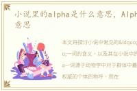 小说里的alpha是什么意思，Alpha是什么意思
