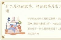 什么是权证股票，权证股票是怎么回事_谢谢