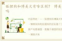 狐狸狗和博美犬有啥区别？ 博美是狐狸犬吗