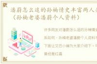 潘蔚怎么追的孙楠情史丰富两人关系如何（孙楠老婆潘蔚个人资料）