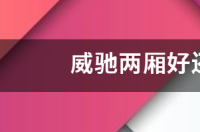 威驰两厢好还是三厢好？ 威驰两厢