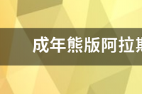 阿拉斯加最大的有多大？ 阿拉斯加最大的