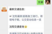 沈阳汽车违章查询多久可以查到？ 沈阳电子警察违章查询官网