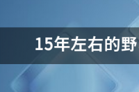 15年左右的野马跑车多少钱？ 野马gt跑车多少钱一辆
