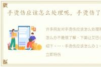 手烫伤应该怎么处理呢，手烫伤了怎么办