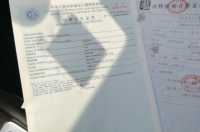 如何托运宠物？ 怎样托运宠物