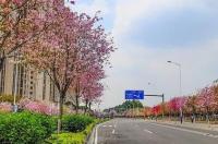 tplogincn的管理员如何登录？ tplogincn路由器主页