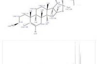 皂素怎么生产？ 薯蓣皂素