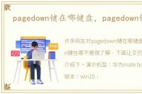 pagedown键在哪键盘，pagedown键在哪