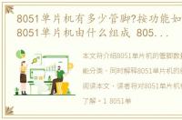 8051单片机有多少管脚?按功能如何分类?，8051单片机由什么组成 8051单片机有多少管脚