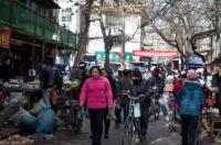 开花鸟鱼虫店市场怎么样？ 花鸟鱼虫市场