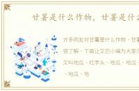 甘薯是什么作物，甘薯是什么