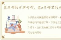 冀是哪的车牌号啊，冀z是哪里的车牌号码