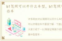 b1驾照可以开什么车型，b1驾照可以开哪些车