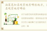 油菜花知名观赏地有哪些地方，油菜花知名观赏地有哪些