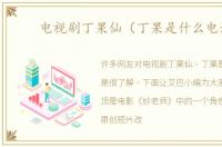 电视剧丁果仙（丁果是什么电影）