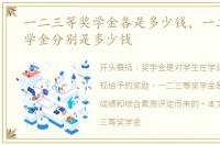 一二三等奖学金各是多少钱，一二三等奖学金分别是多少钱