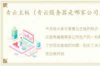 青云主板（青云服务器是哪家公司生产的）