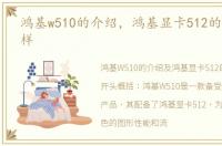 鸿基w510的介绍，鸿基显卡512的性能怎么样
