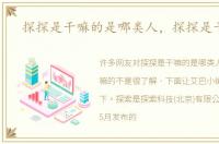 探探是干嘛的是哪类人，探探是干嘛的