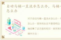 自动马桶一直流水怎么办，马桶一直流水怎么办