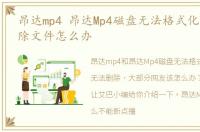昂达mp4 昂达Mp4磁盘无法格式化或不能删除文件怎么办