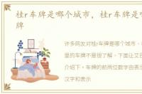 桂r车牌是哪个城市，桂r车牌是哪里的车牌
