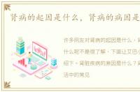 肾病的起因是什么，肾病的病因是什么呢