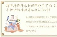 牌牌琦为什么打伊伊分手了吗（牌牌琦追小伊伊的过程是怎么认识的）