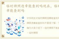临时牌照违章能查到吗现在，临时牌照违章能查到吗
