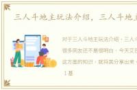 三人斗地主玩法介绍，三人斗地主玩法