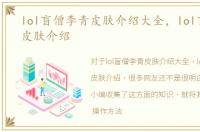 lol盲僧李青皮肤介绍大全，lol盲僧李青皮肤介绍