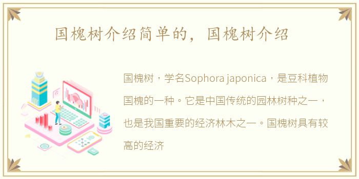 国槐树介绍简单的，国槐树介绍