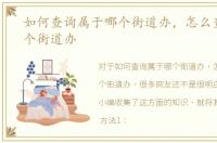 如何查询属于哪个街道办，怎么查属于哪个街道办