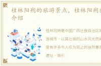 桂林阳朔的旅游景点，桂林阳朔旅游景点介绍
