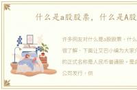 什么是a股股票，什么是A股