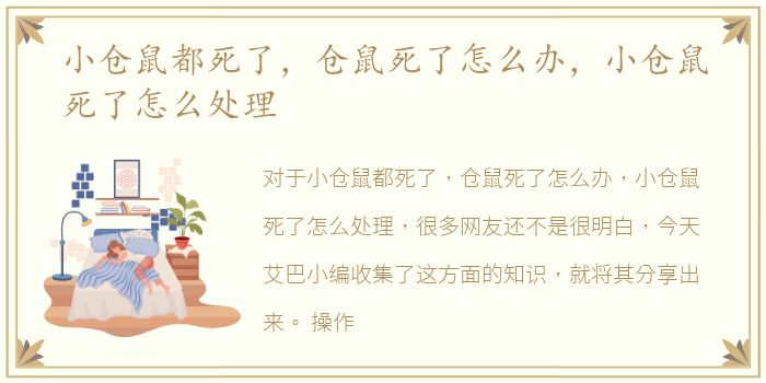 小仓鼠都死了，仓鼠死了怎么办，小仓鼠死了怎么处理
