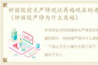钟丽缇前夫严铮现状再婚现在的老婆的照片（钟丽缇严铮为什么离婚）