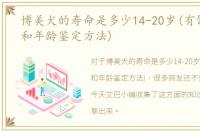 博美犬的寿命是多少14-20岁(有饲养方法和年龄鉴定方法)