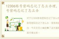 12306账号密码忘记了怎么办理，12306账号密码忘记了怎么办